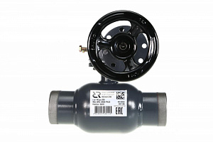 Кран шаровой RJIP Premium WW Ду 600 Ру 25 WG (приварной, с редуктором, стандартный проход) 065N0186GR Ридан