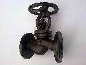 Клапан запорный чугун 15кч16нж DN80 PN25 фл RMCX